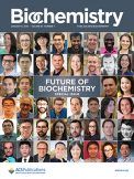 Computational Systems Biochemistry: Beyond the Static Interactome
