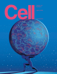 Comprehensive Characterization of Cancer Driver Genes and Mutations