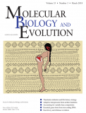Network Analysis of Protein Adaptation: Modeling the Functional Impact of Multiple Mutations