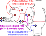 Comparing Reentrant Drivers Predicted by Image-Based Computational Modeling and Mapped by Electrocardiographic Imaging in Persistent Atrial Fibrillation