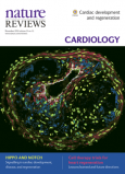 Computational models in cardiology