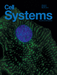 CHASMplus Reveals the Scope of Somatic Missense Mutations Driving Human Cancers